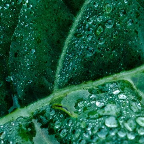 Photo #3791720