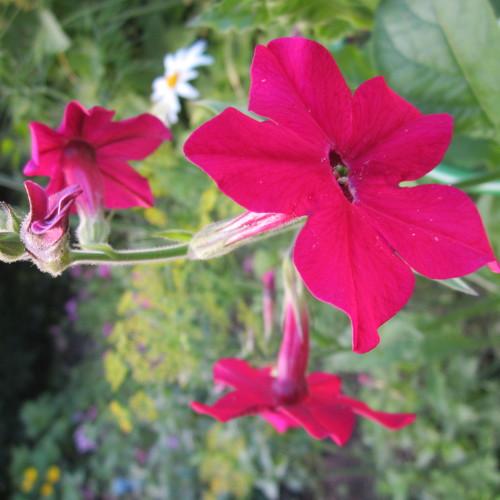 Photo #3791755