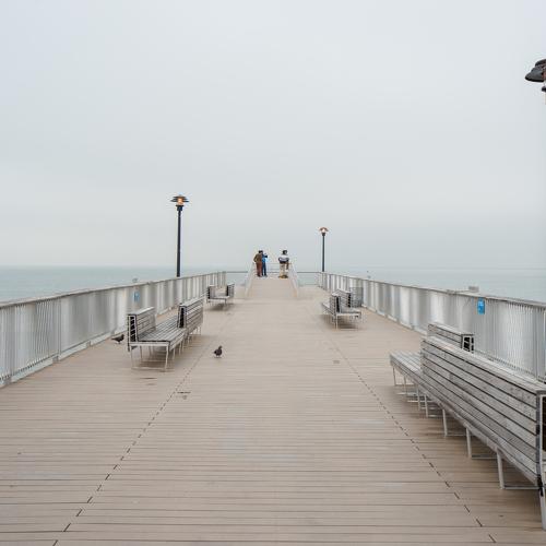 Photo #3791968