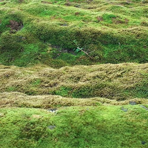 Photo #3791981