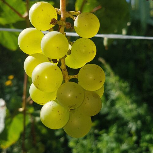 Photo #3792107