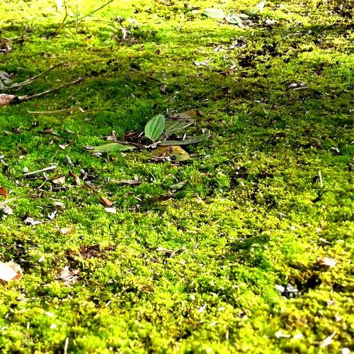 Photo #3792231