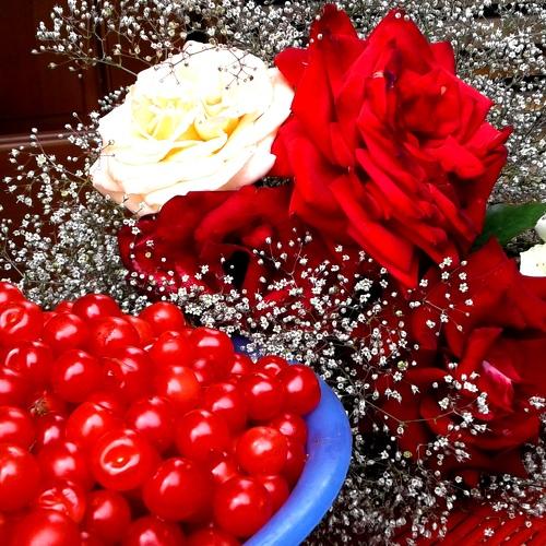 Photo #3792317