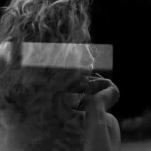 Photo #3792543