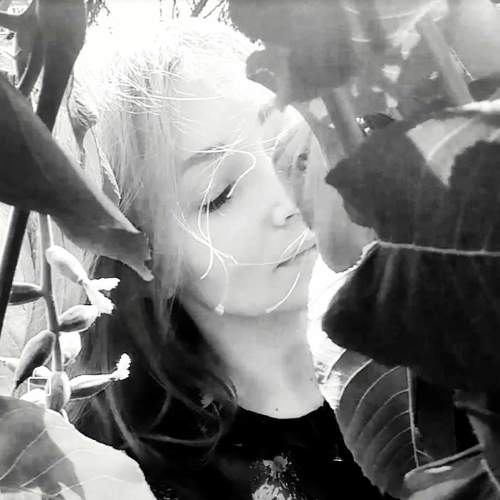 Photo #3792546