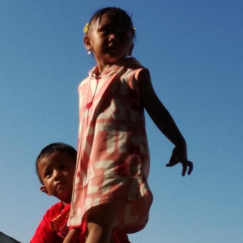 Photo #3792652