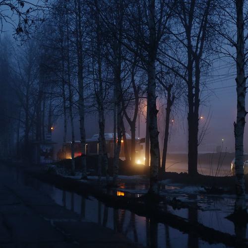 Photo #3793145