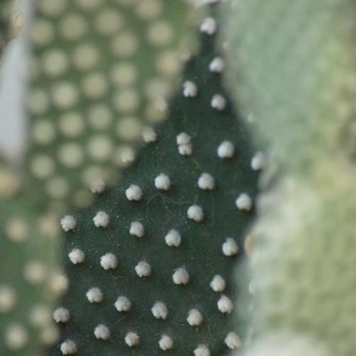 Photo #3793472