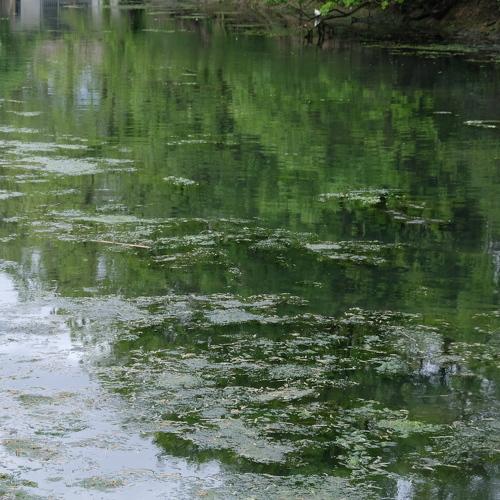 Photo #3793536
