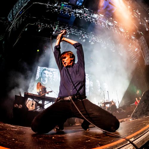 Photo #3793707
