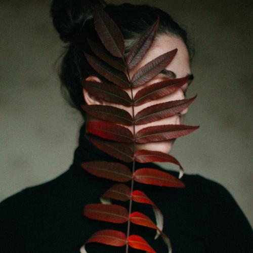 Photo #3794100