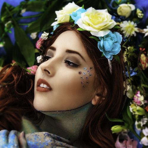 Photo #3794121
