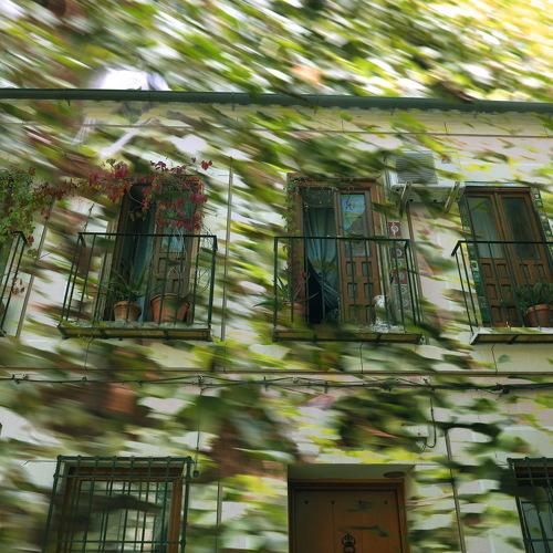 Photo #3794217