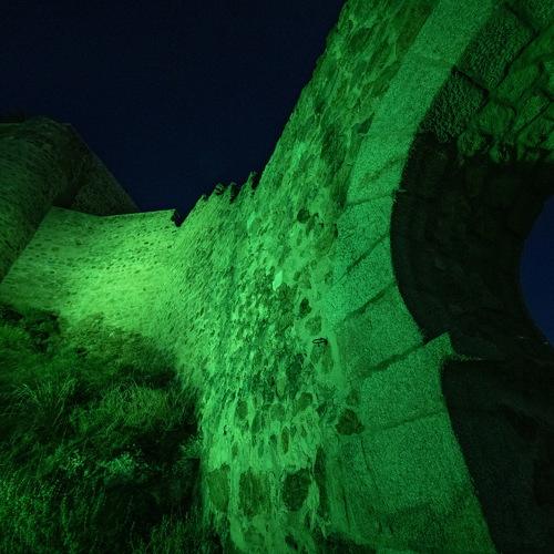 Photo #3794233