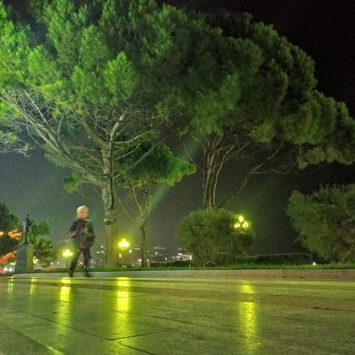 Photo #3794265