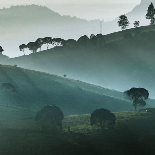 Photo #3794381