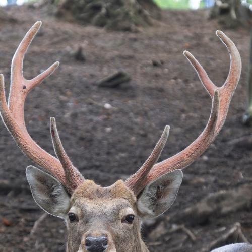 Photo #3794424