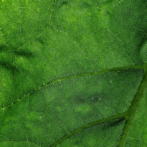 Photo #3794449
