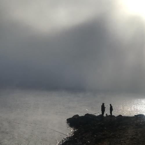 Photo #3794633
