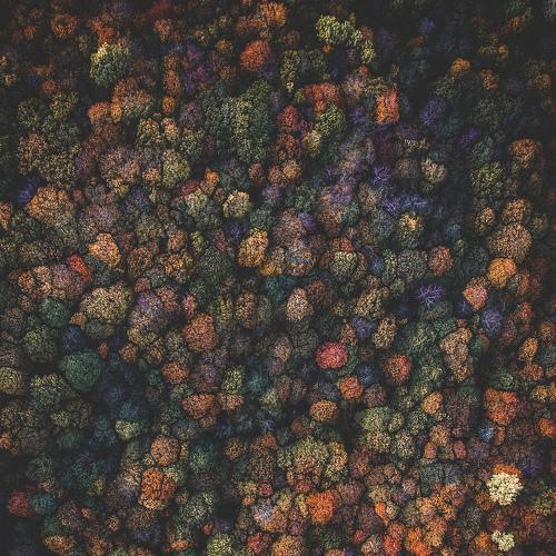 Photo #3794710