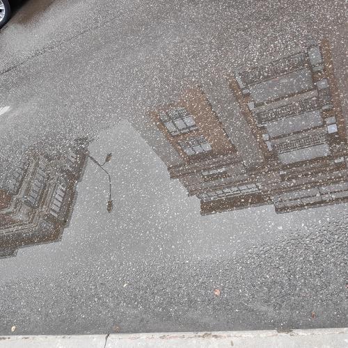 Photo #3795384