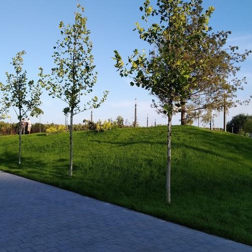 Photo #3795428