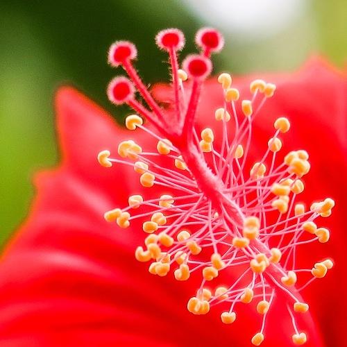 Photo #3796256