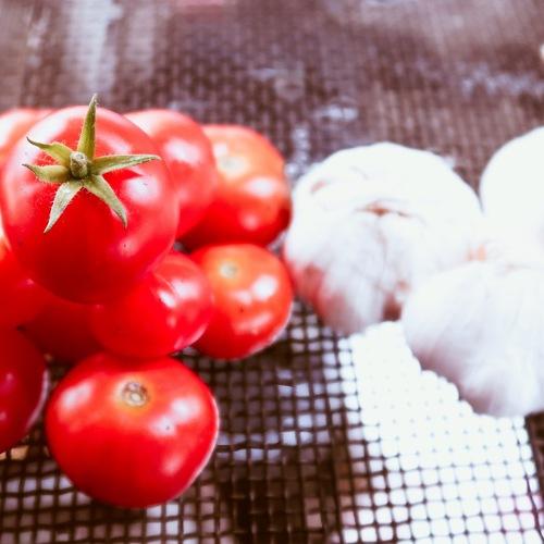 Photo #3796257