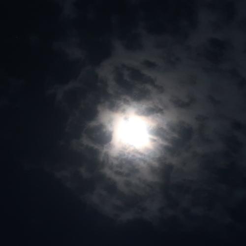 Photo #3796360