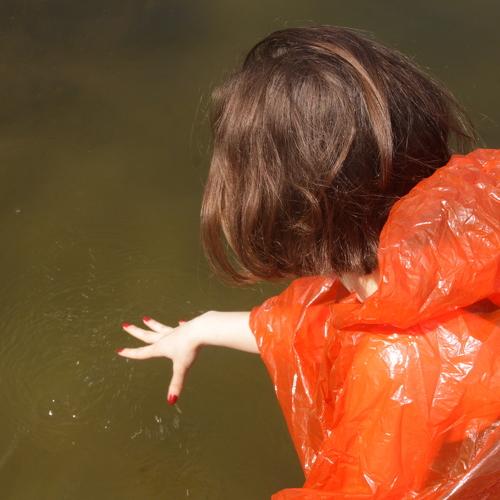 Photo #3796419