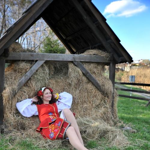 Photo #3796449