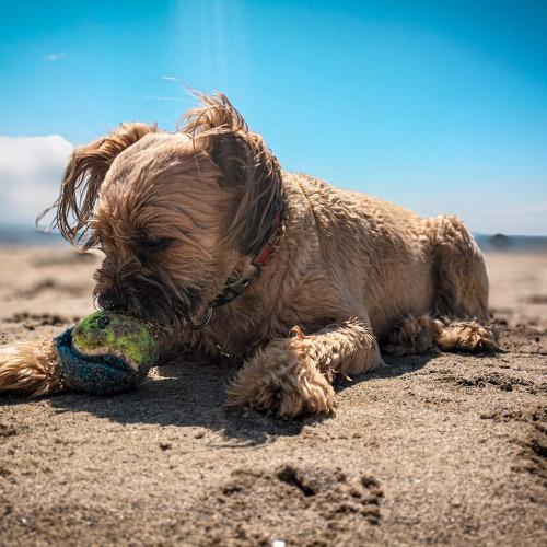 Photo #3796524