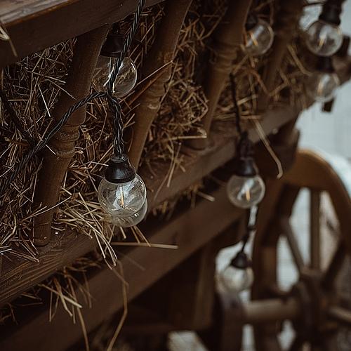 Photo #3796923