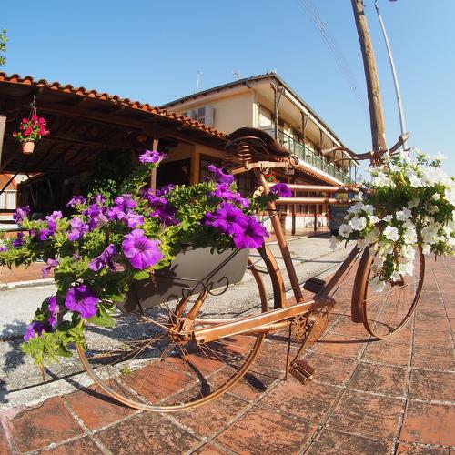 Photo #3796939