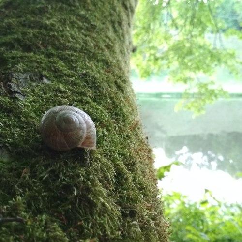 Photo #3797122