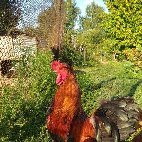 Photo #3797256