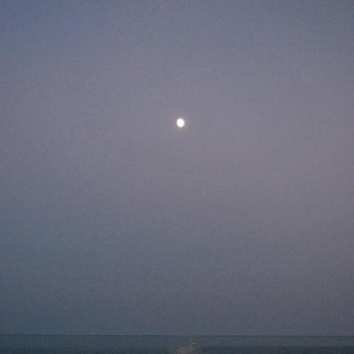 Photo #3797514