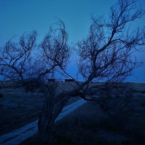 Photo #3797527