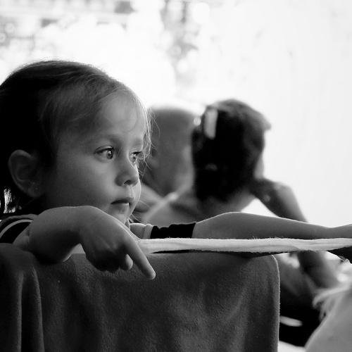 Photo #3797529