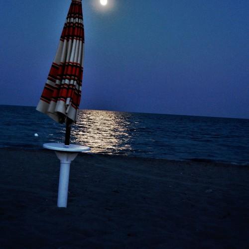 Photo #3797534