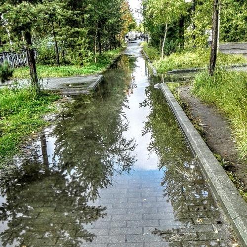 После дождя.