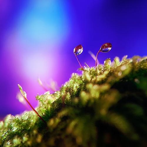 Photo #3797925