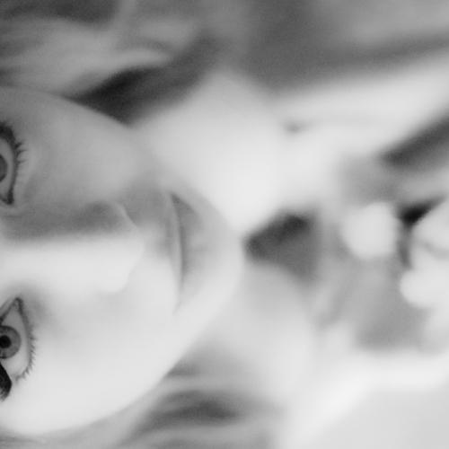 Photo #3797966