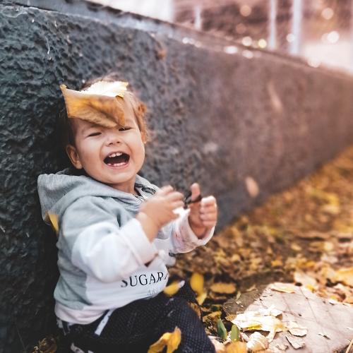 Photo #3798183