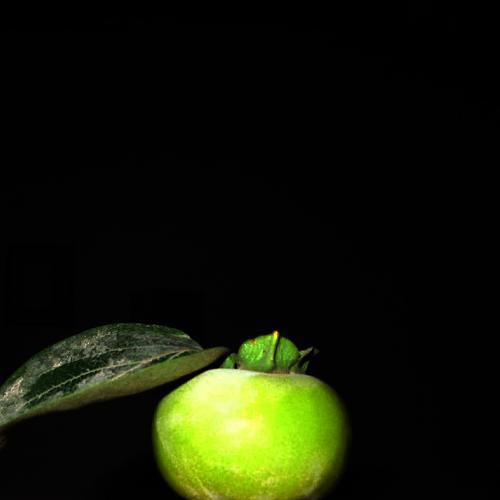 Photo #3798470