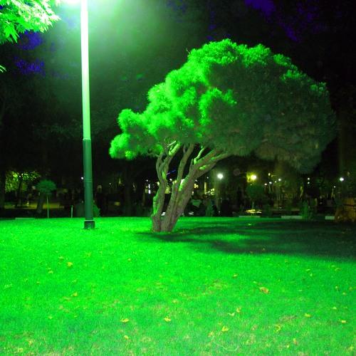 Photo #3798474