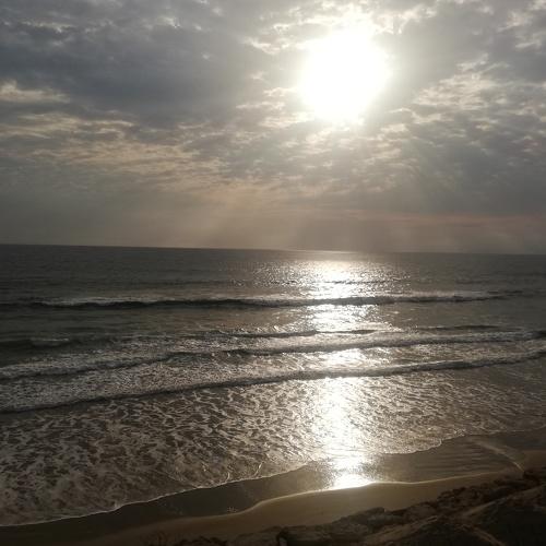 Photo #3798604