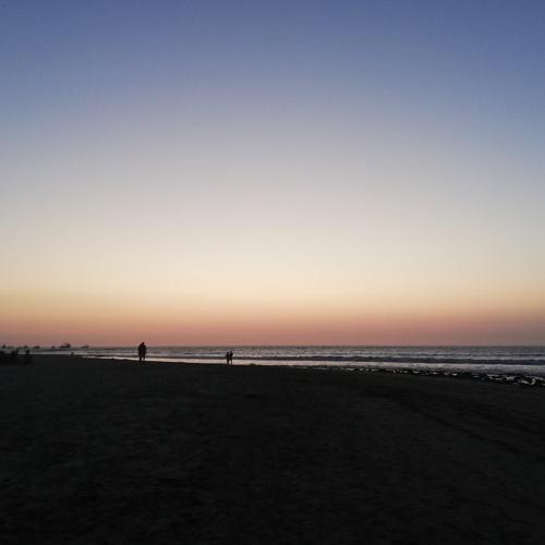 Photo #3798606