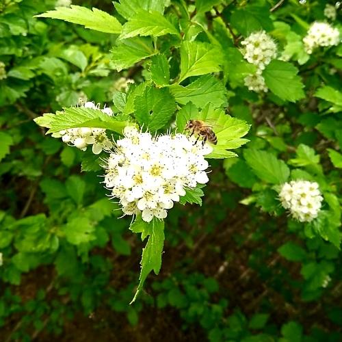 Photo #3798669