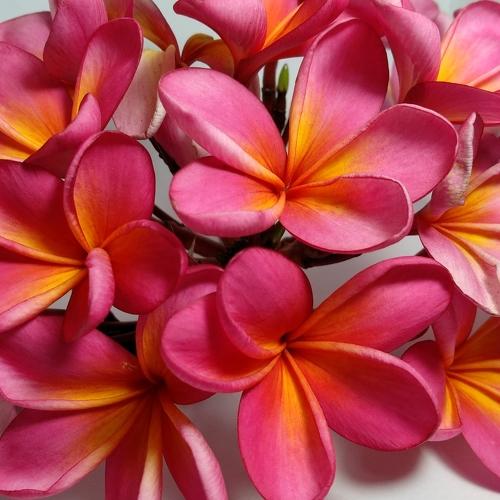 Photo #3798763